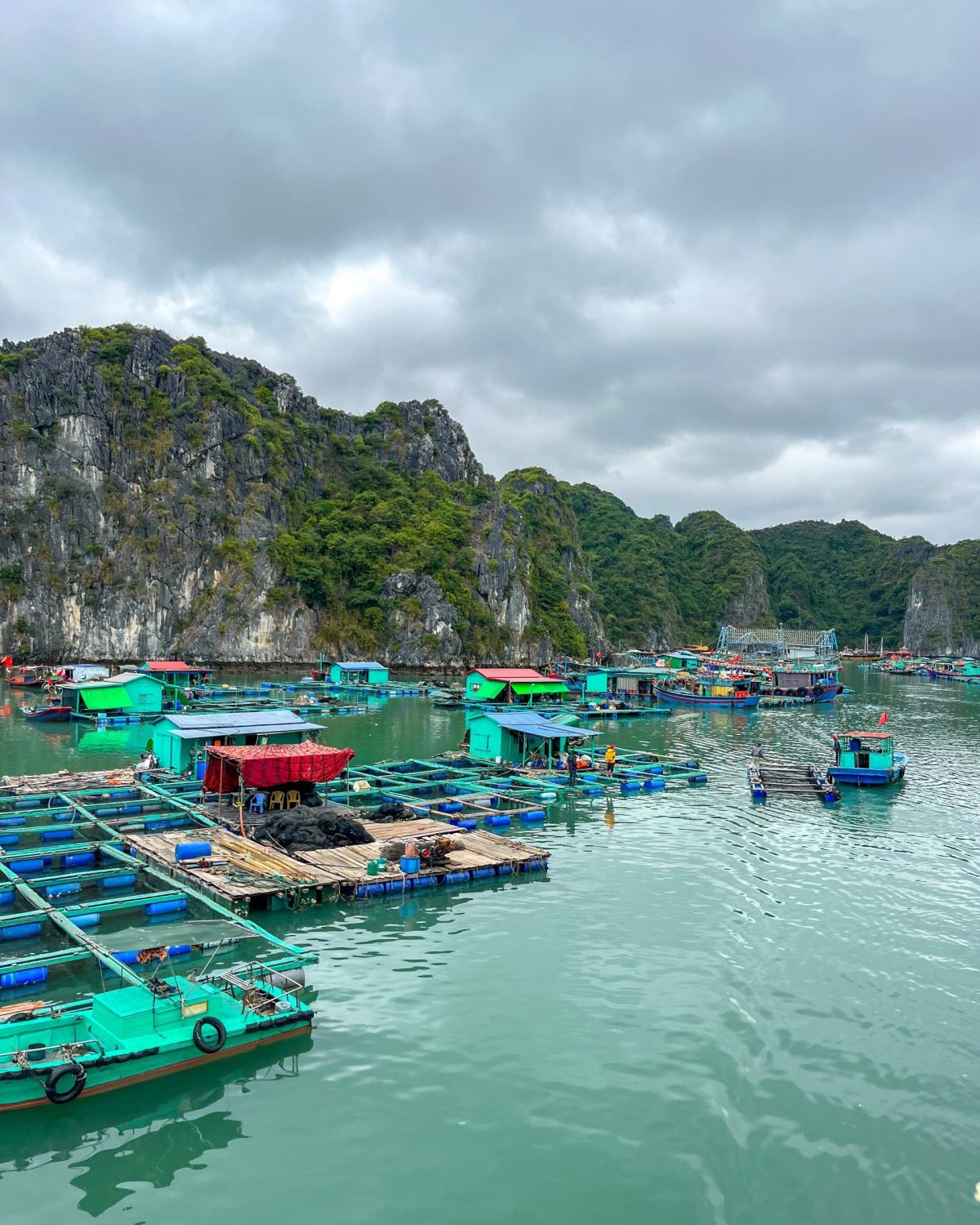 Halong Bay cruising