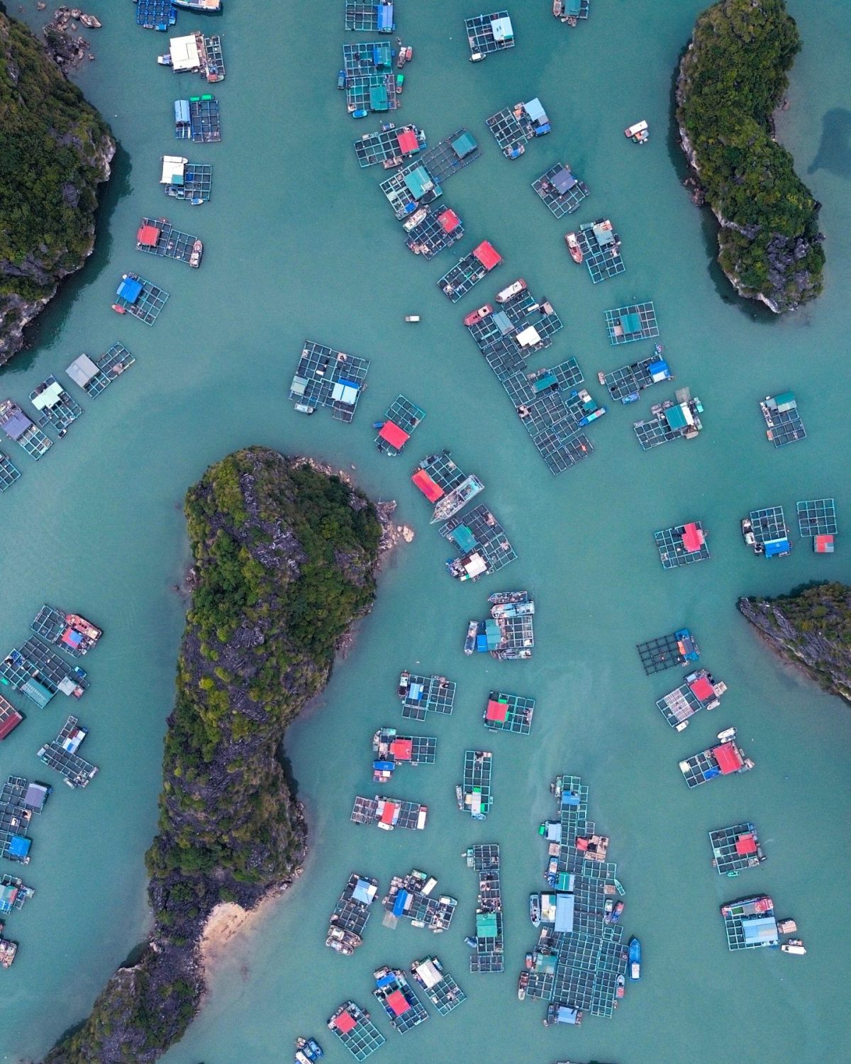 Halong Bay cruising