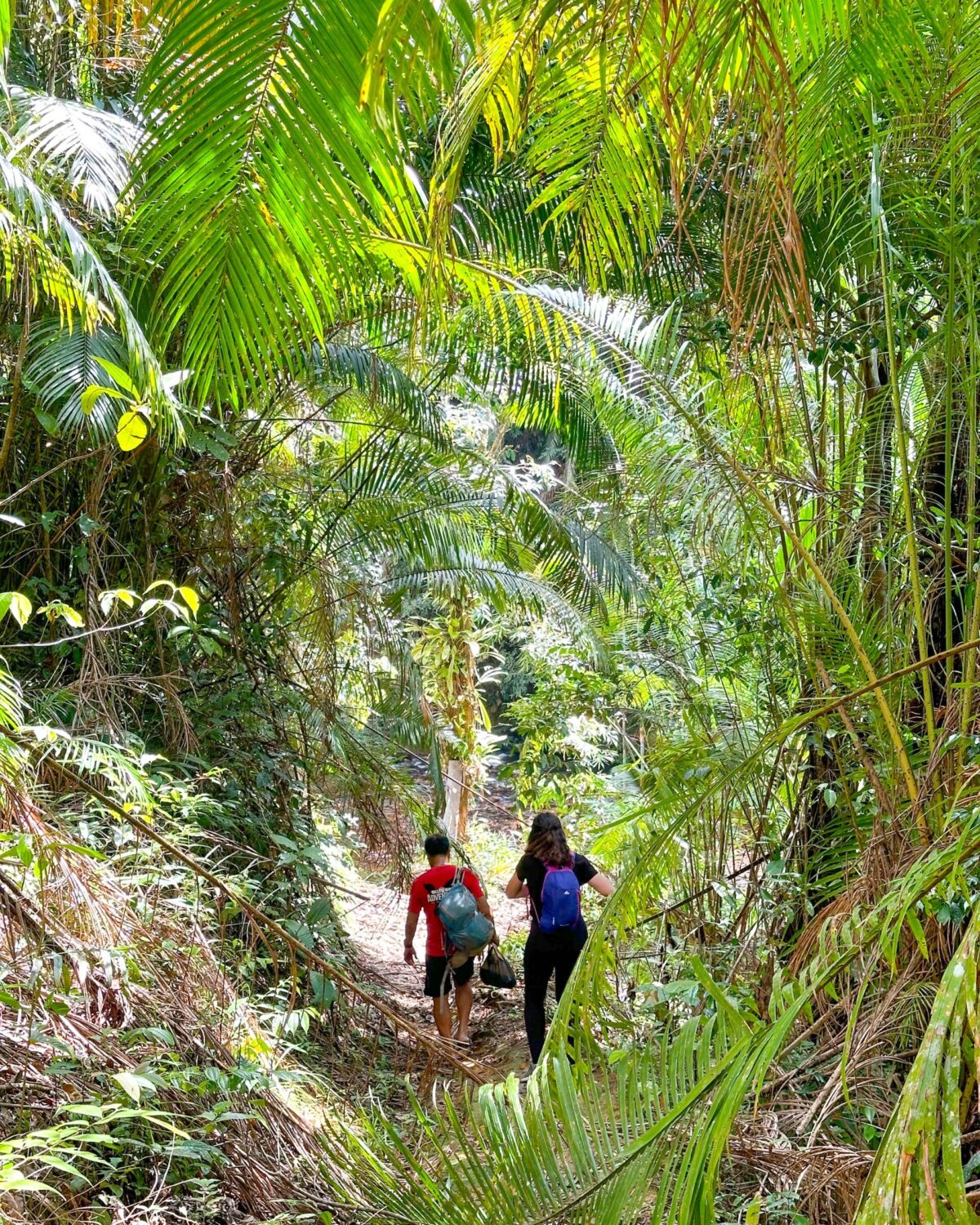 Iban Longhouse Sarawak Homestay