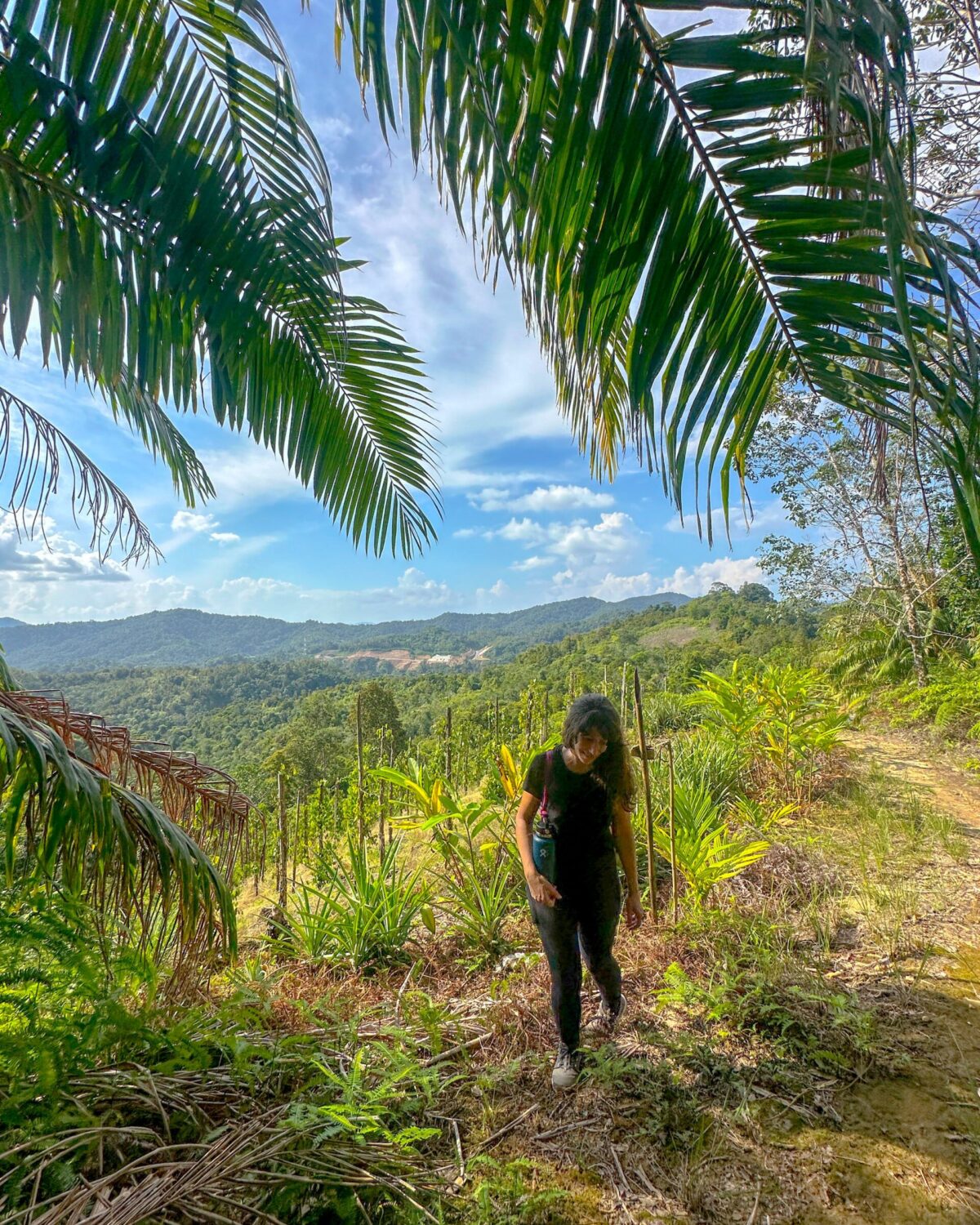 Iban Longhouse Sarawak Homestay