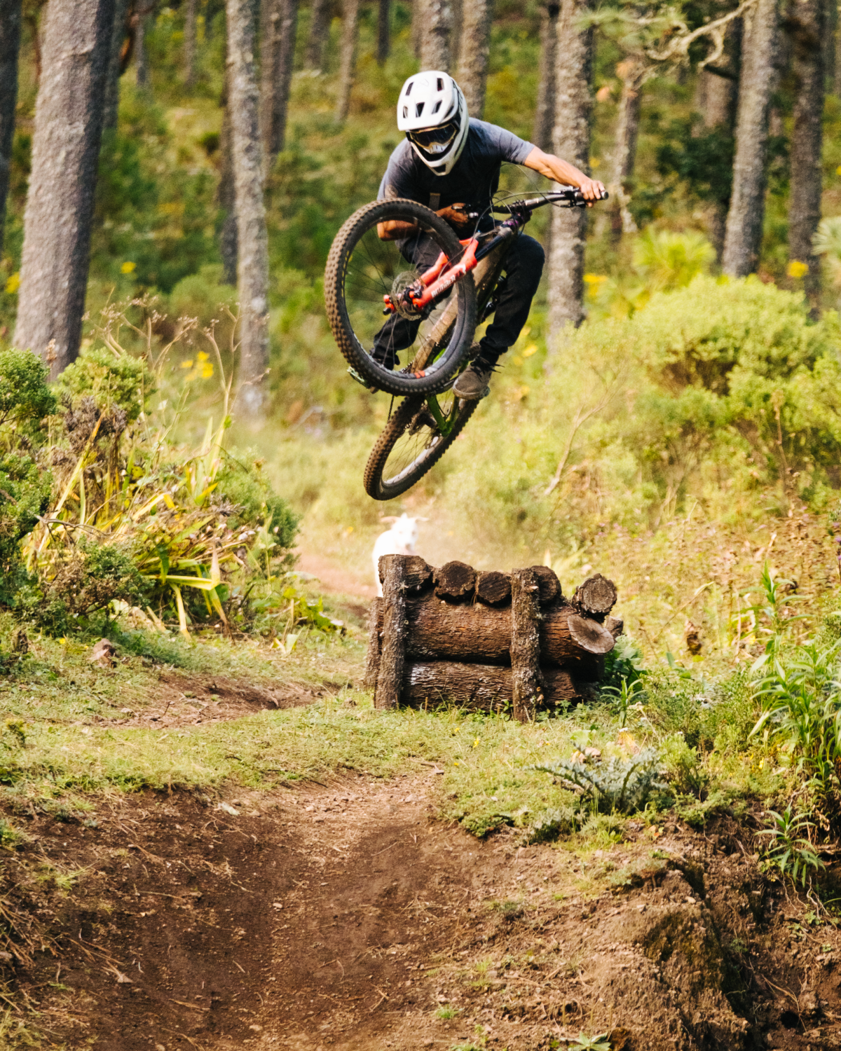 enduro-biking-oaxaca