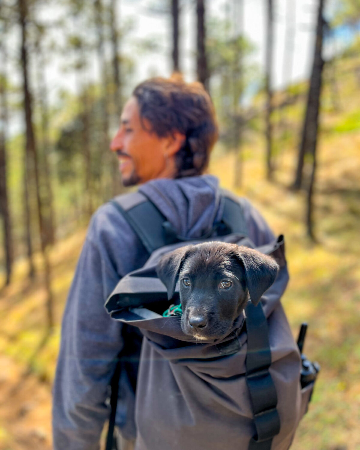 rescue-dog-hikes-sierra-norte